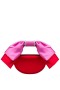 Women Nina Shoes Handbags | Eveie Red/pink Crystal Trimmed Satin Bow Bag